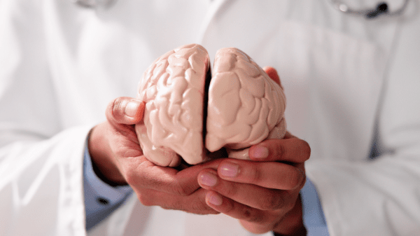 Arzt hält Modell eines menschlichen Gehirns in den Händen