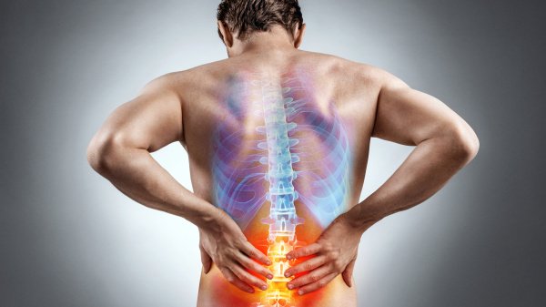 Mann hält sich mit beiden Händen den Rücken vor Schmerzen, welcher die Anatomie der Wirbelsäule zeitgleich abbildet.