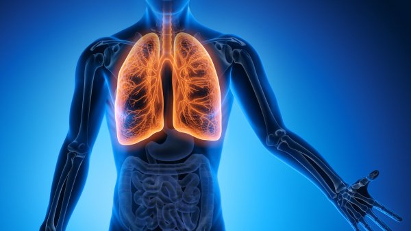 Schematische Darstellung eines Menschen mit einer farblich hervorgehobenen Lunge.