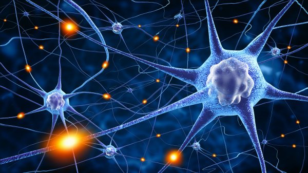 Schematische Darstellung von Neuronen und deren Verbindungen im menschlichen Gehirn.