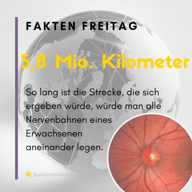 Faktenblatt zur Länge von Nervenbahnen des menschlichen Körpers: 5,8 Mio. km.