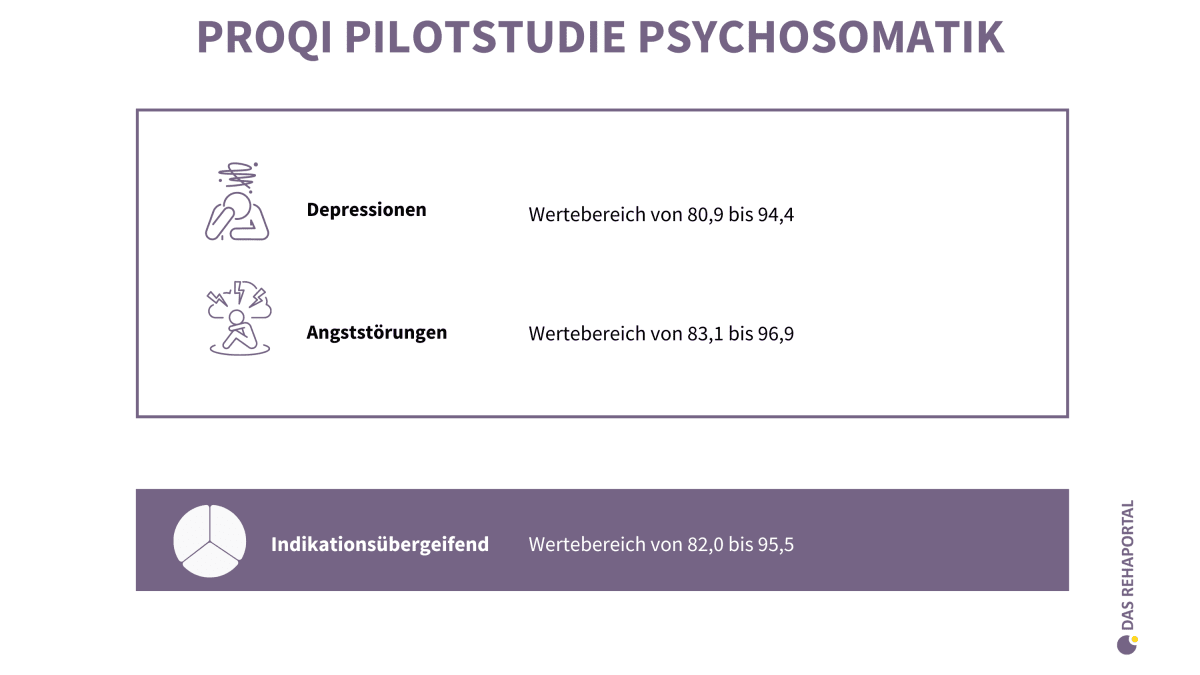 Zusammenfassung der Auswertung des ProQI in der Psychosomatik.