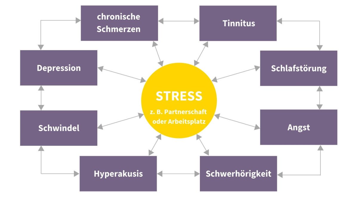 Übersichtsmodell zu Stress - Tinnitus als einer der Belastungsfaktoren von Stress.